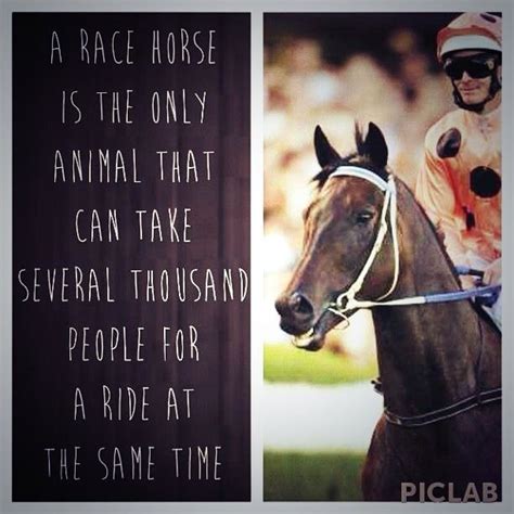 horse racing quotes|The 30 Most Memorable Horse Racing Quotes Ever.